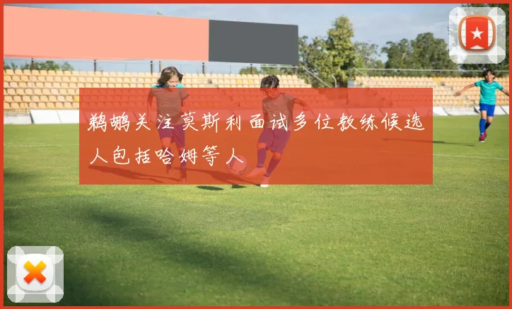 鹈鹕关注莫斯利面试多位教练候选人包括哈姆等人
